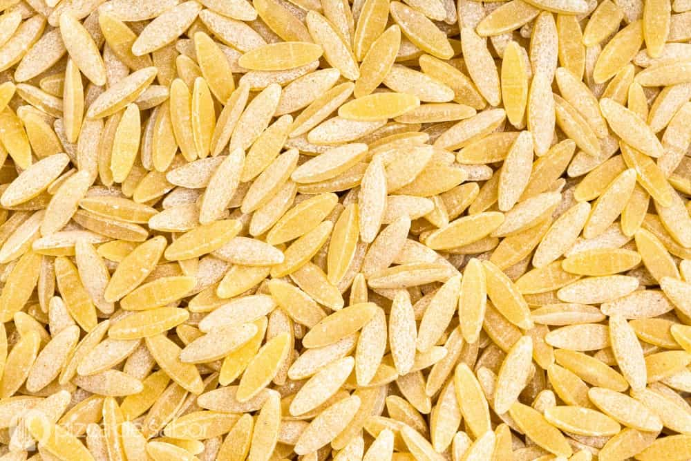 Granos de pasta orzo seca