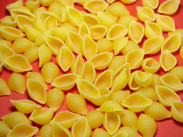 Pasta seca conchiglie en forma de concha sobre fondo naranja